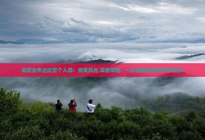 阜阳去西藏布达拉宫个人游