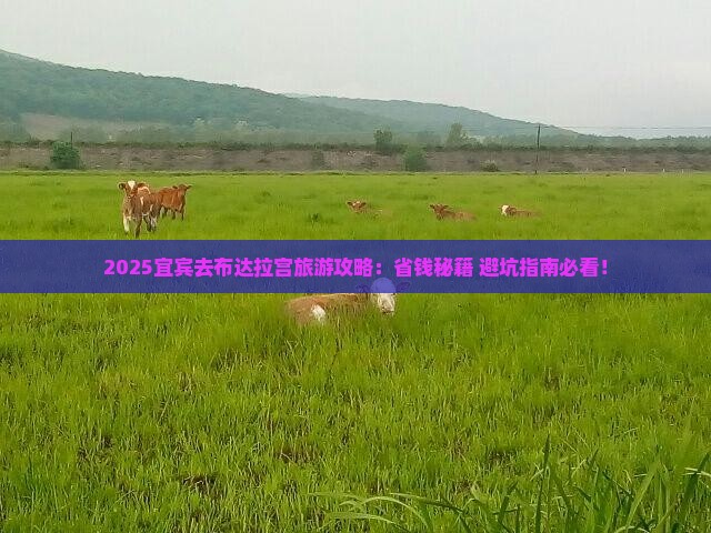 宜宾去西藏布达拉宫旅游