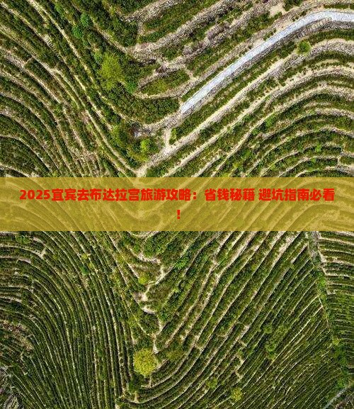 宜宾去西藏布达拉宫旅游
