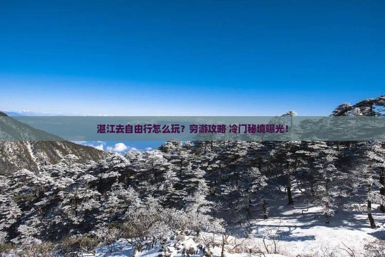 湛江去西藏自由行