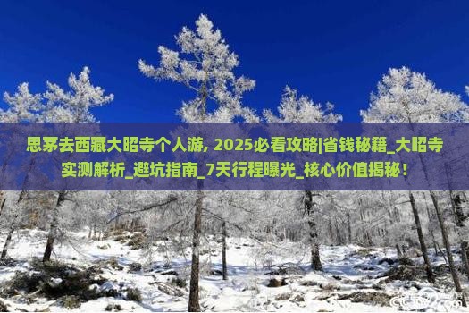 思茅去西藏大昭寺个人游