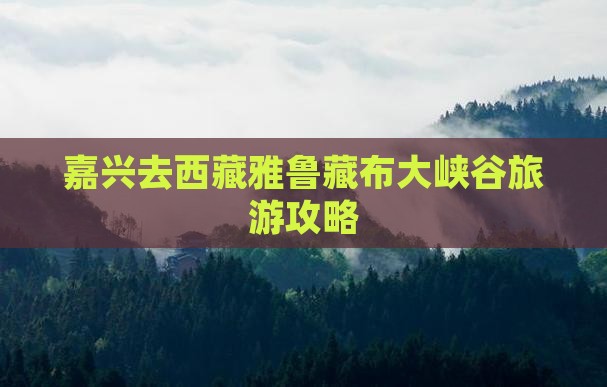 嘉兴去西藏雅鲁藏布大峡谷攻略