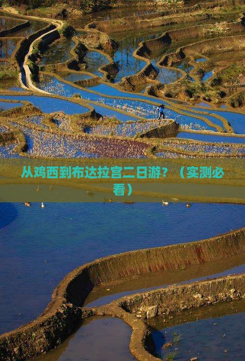 鸡西到西藏布达拉宫二日游