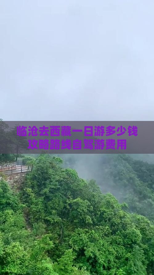 临沧去西藏一日