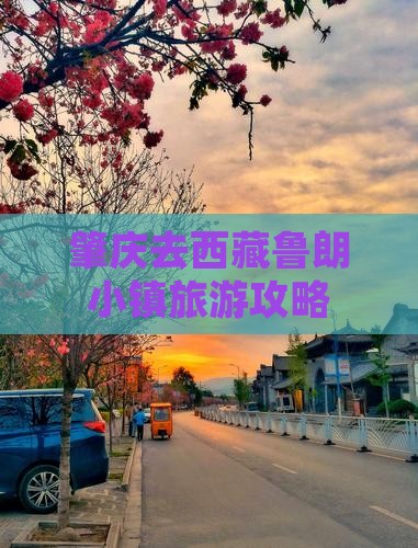 肇庆去西藏鲁朗小镇景点