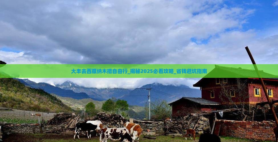 大丰去西藏纳木措自由行