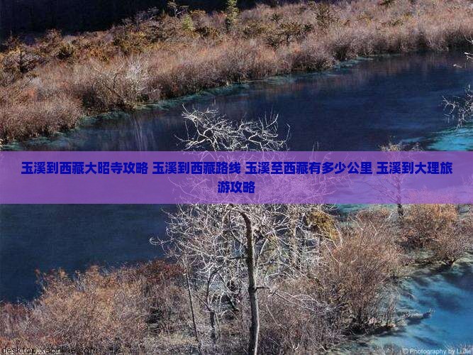 玉溪到西藏大昭寺攻略