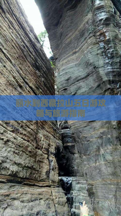 丽水到西藏色季拉山五日游