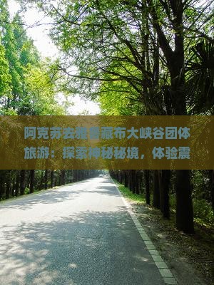 阿克苏去西藏雅鲁藏布大峡谷团体旅游