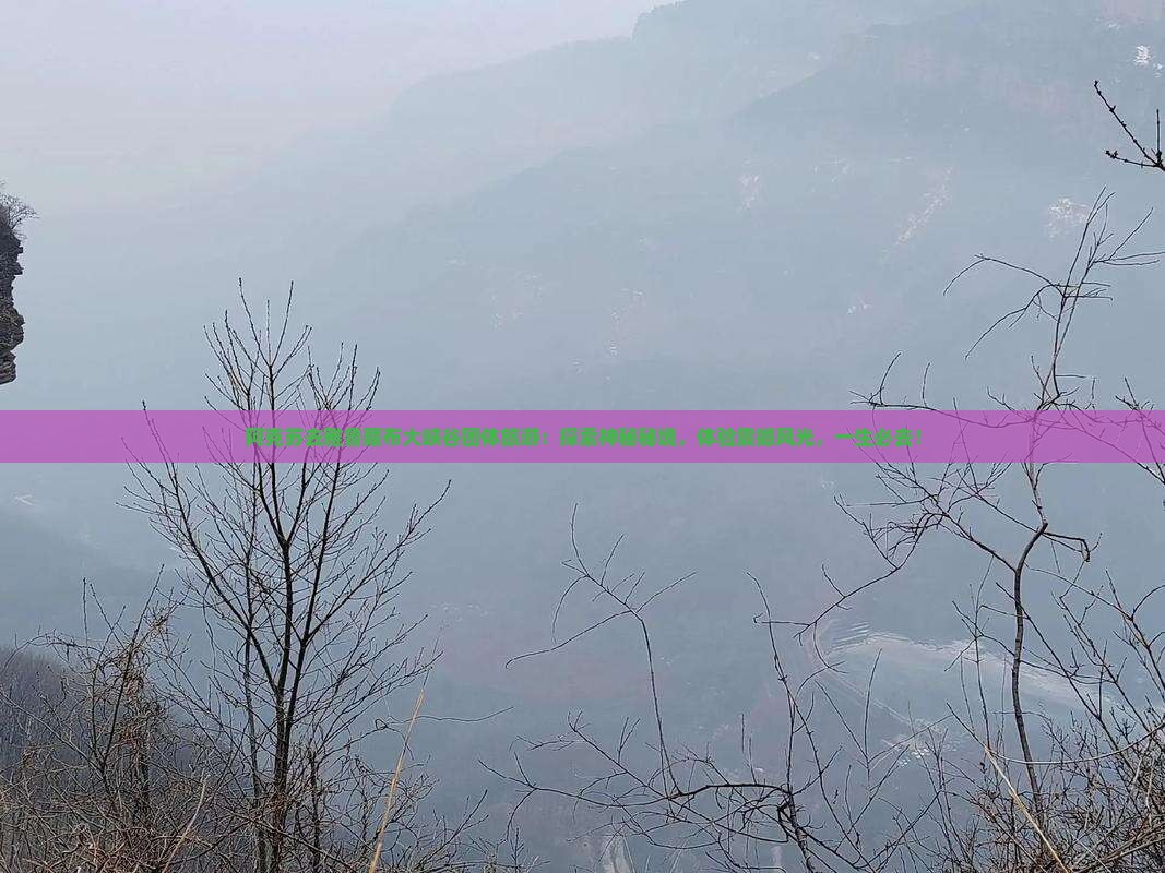 阿克苏去西藏雅鲁藏布大峡谷团体旅游