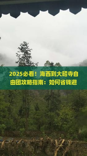 海西到西藏大昭寺自由团