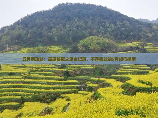 五月到西藏攻略