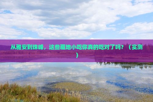 雅安去西藏珠峰大本营旅游小吃