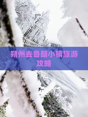 朔州去西藏鲁朗小镇团体旅游
