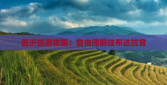 临沂去西藏布达拉宫自由团