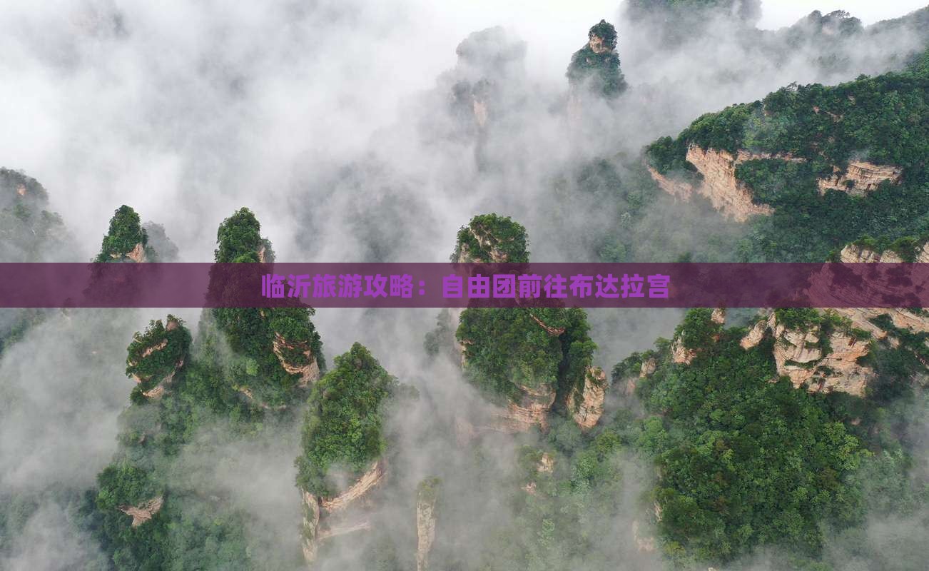 临沂去西藏布达拉宫自由团