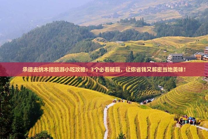 承德去西藏纳木措旅游小吃