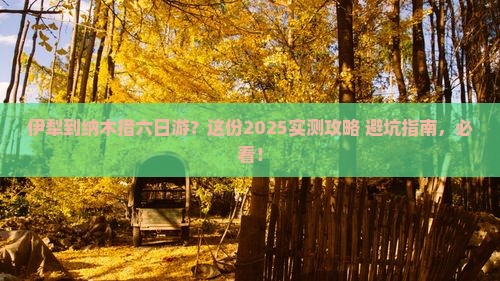 伊犁到西藏纳木措六日游