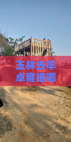 玉林去西藏羊卓雍措哪里玩 玉林去西藏羊卓雍措哪里玩