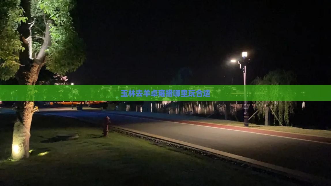 玉林去西藏羊卓雍措哪里玩 玉林去西藏羊卓雍措哪里玩