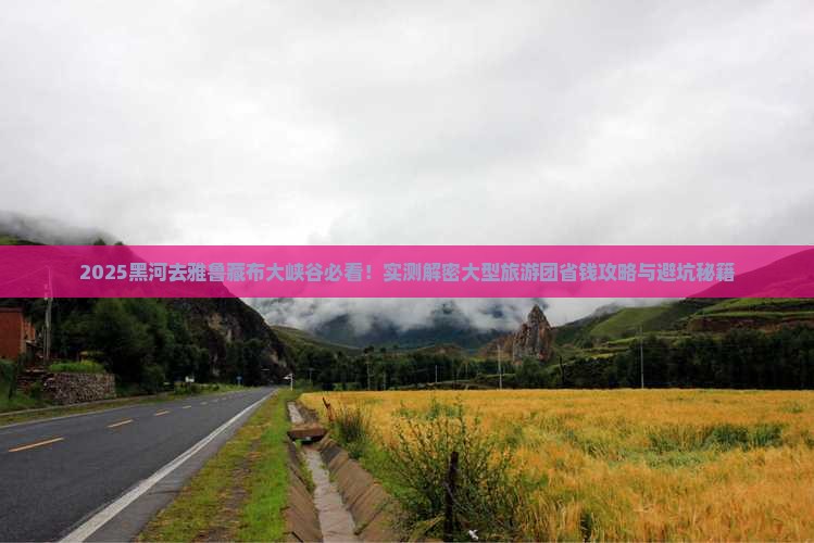 黑河去西藏雅鲁藏布大峡谷大型旅游团