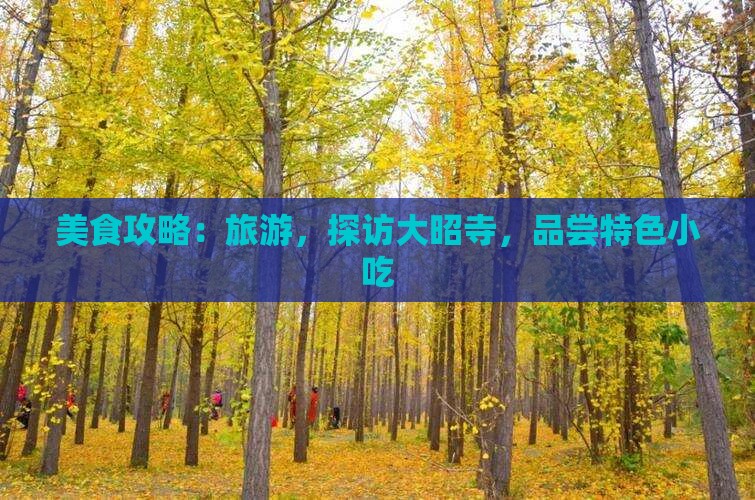 绍兴去西藏大昭寺旅游小吃
