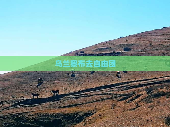 乌兰察布去西藏自由团