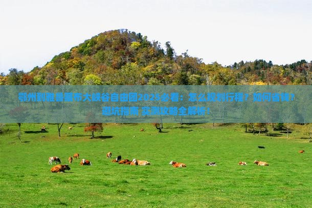 鄂州到西藏雅鲁藏布大峡谷自由团