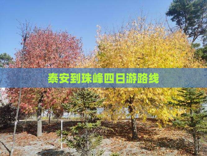 泰安到西藏珠峰大本营四日游