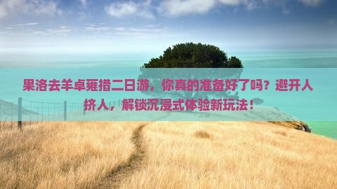 果洛去西藏羊卓雍措二日游