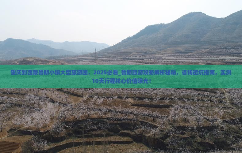 肇庆到西藏鲁朗小镇大型旅游团