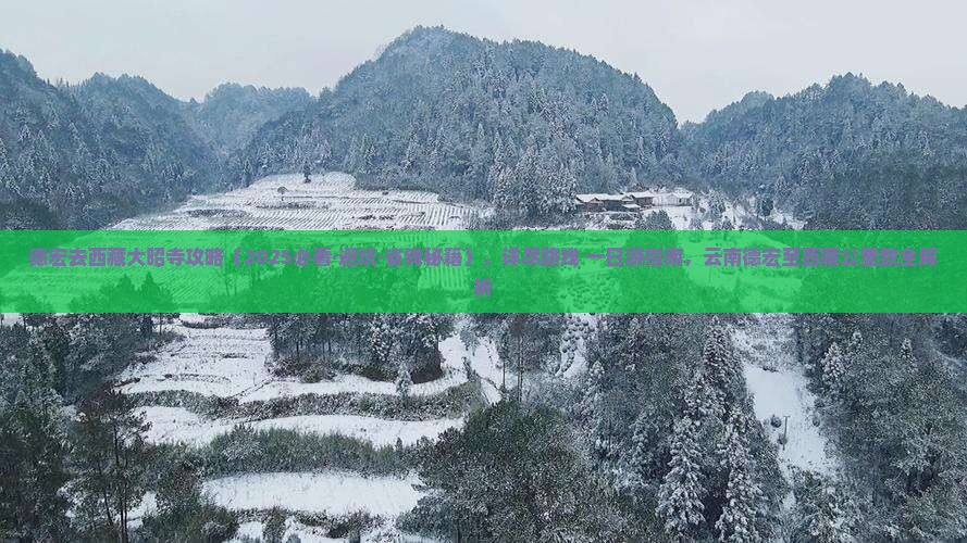德宏去西藏大昭寺攻略