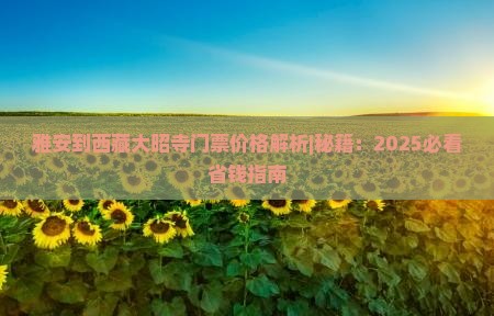 雅安到西藏大昭寺门票