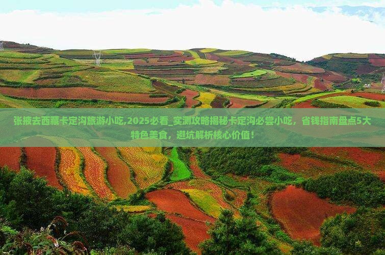 张掖去西藏卡定沟旅游小吃