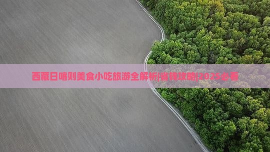 巢湖到西藏日喀则旅游小吃