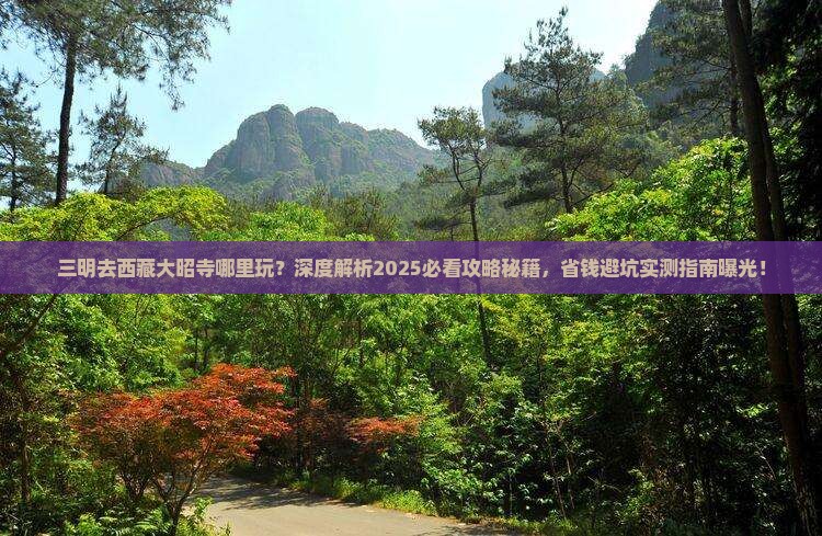 三明去西藏大昭寺哪里玩