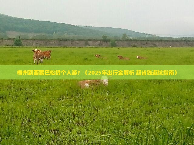梅州到西藏巴松措个人游