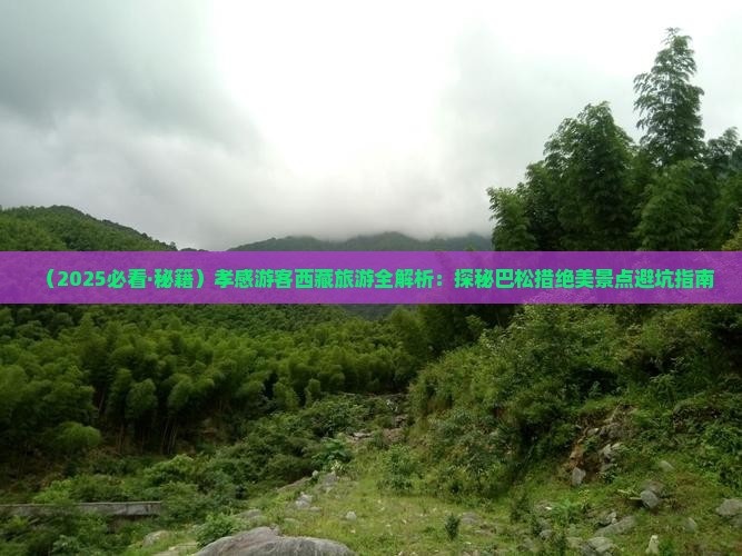 孝感到西藏巴松措旅游