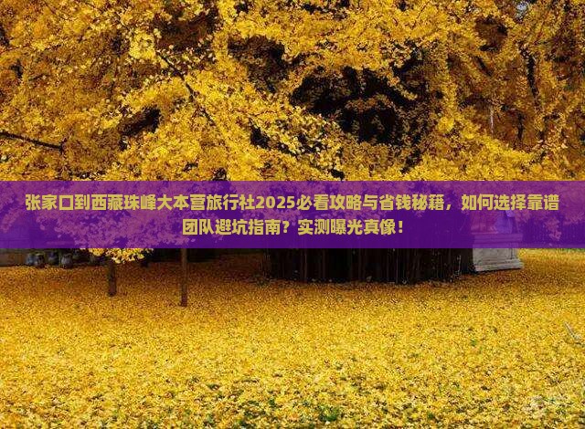 张家口到西藏珠峰大本营旅行社