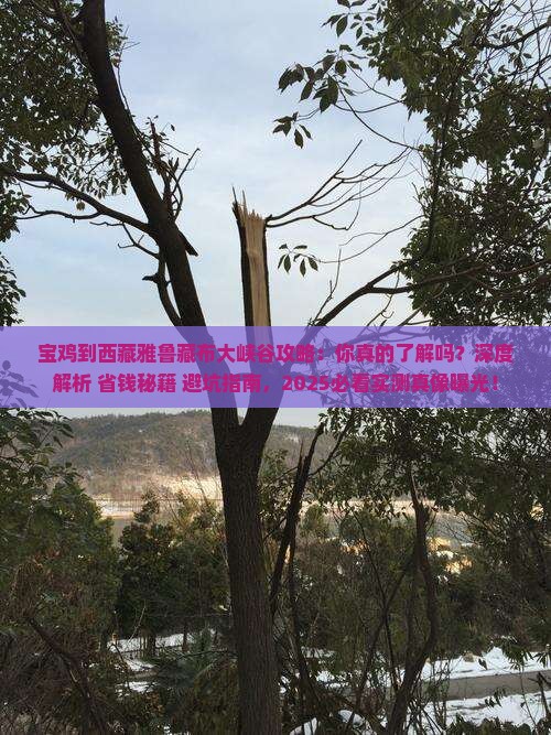 宝鸡到西藏雅鲁藏布大峡谷攻略