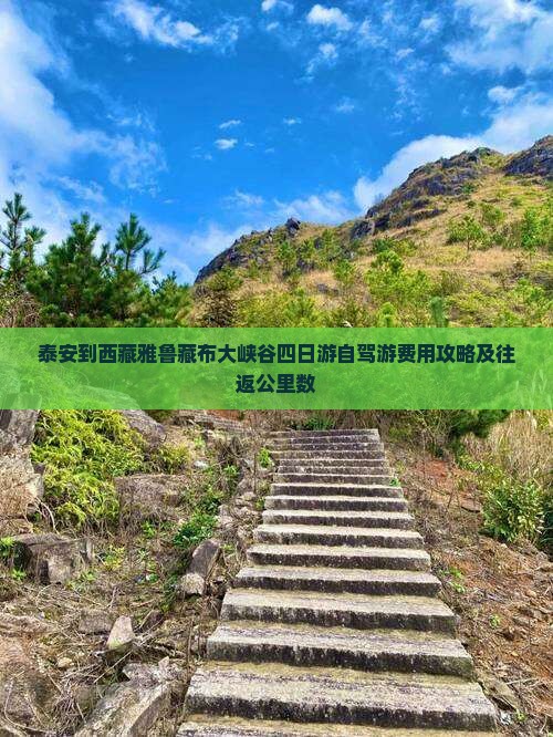 泰安到西藏雅鲁藏布大峡谷四日游