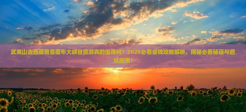 武夷山去西藏雅鲁藏布大峡谷旅游