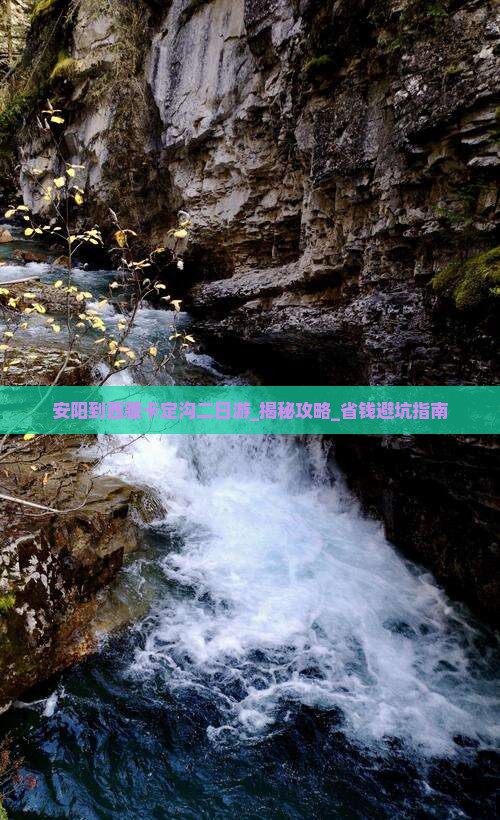 安阳到西藏卡定沟二日游