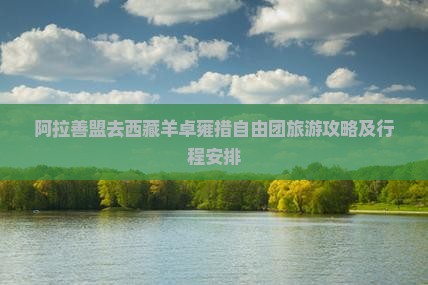 阿拉善盟去西藏羊卓雍措自由团