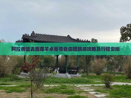 阿拉善盟去西藏羊卓雍措自由团