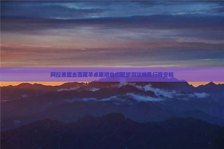 阿拉善盟去西藏羊卓雍措自由团