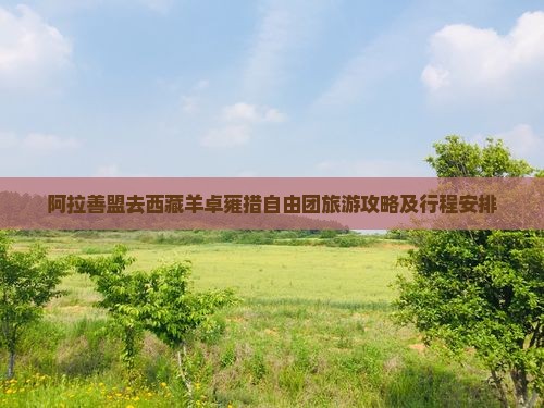 阿拉善盟去西藏羊卓雍措自由团