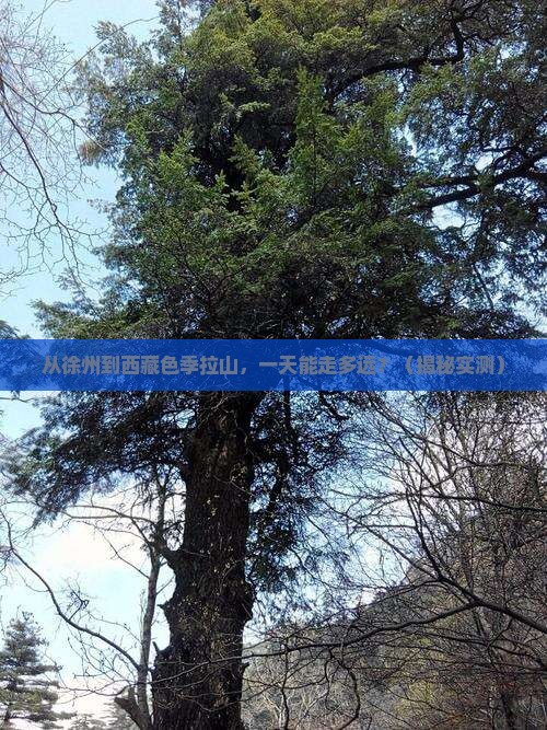 徐州到西藏色季拉山一日