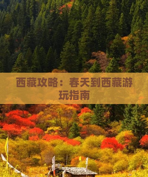 春天到西藏攻略