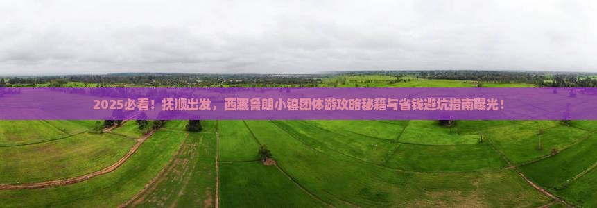 抚顺到西藏鲁朗小镇团体旅游